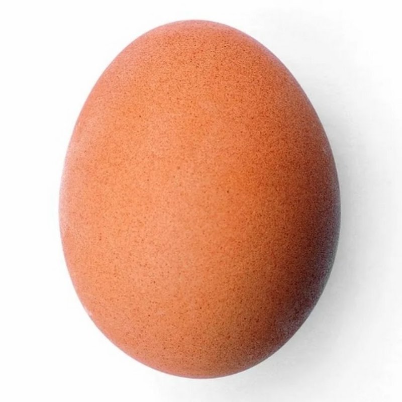 Текстура яйца