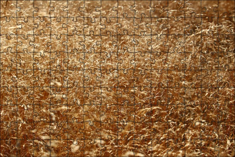 Солома фактура