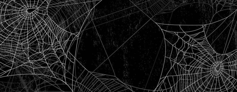 Паутина реалистичная