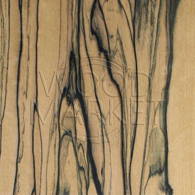 Шпон эвкалипт мореный