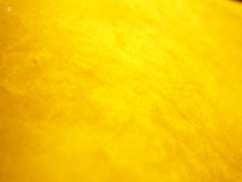 Грязно желтый цвет