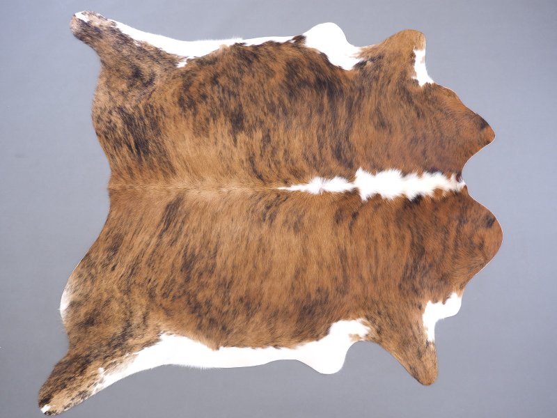 Фактура коровы