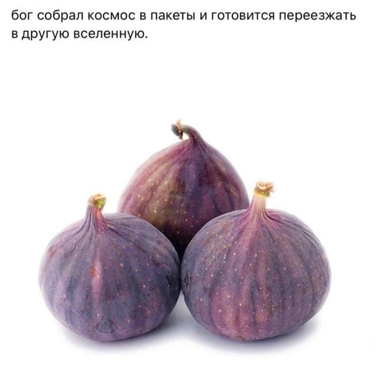 Инжир на белом фоне