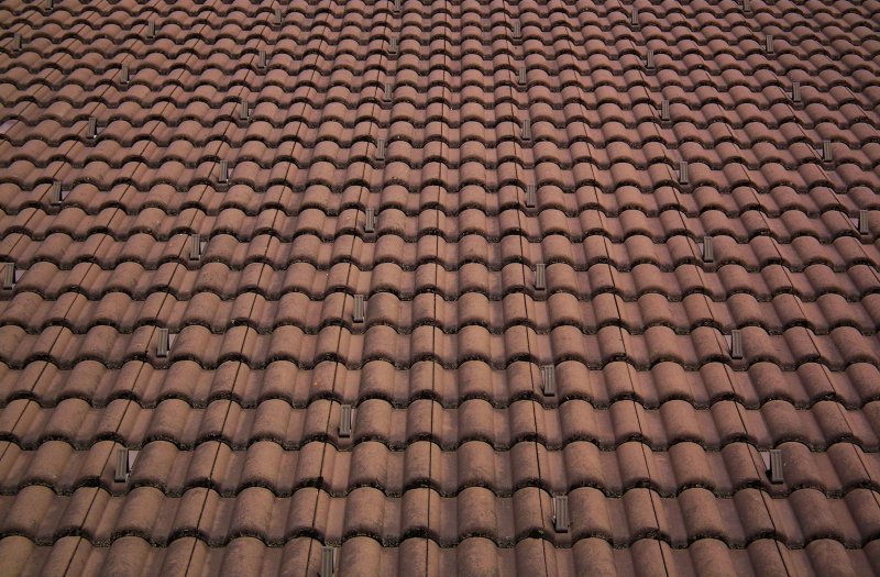 Черепица Braas текстура