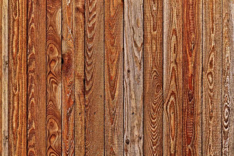 Текстура древесины