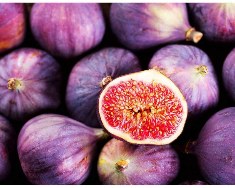 Инжир Виолетта Нормандия