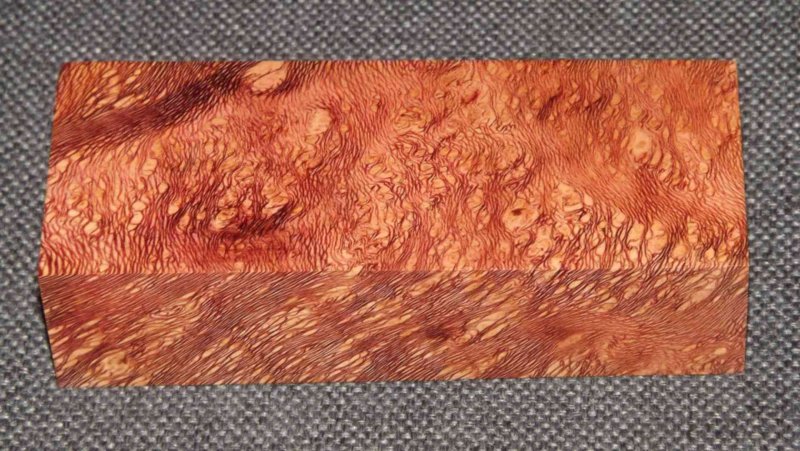 Платан структура древесины