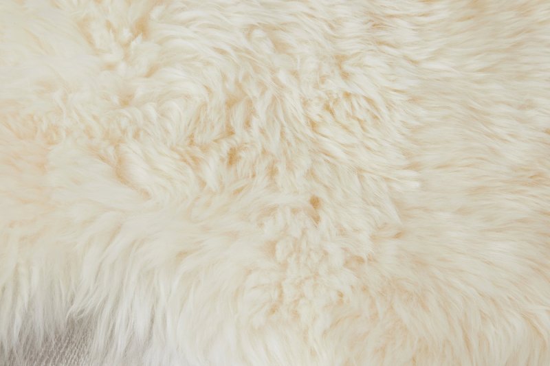 Овечья шерсть