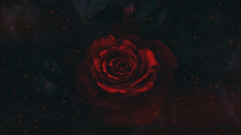 Темные цветы