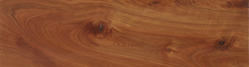 Дуб карагач шпон