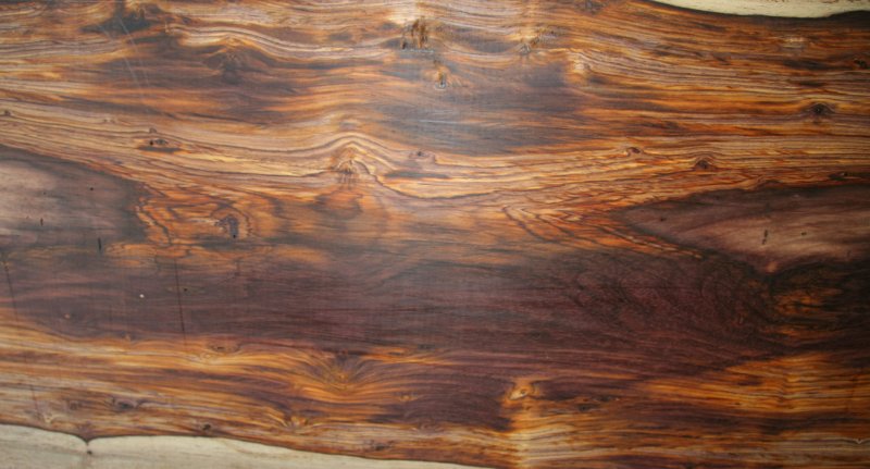 Олива европейская слэб