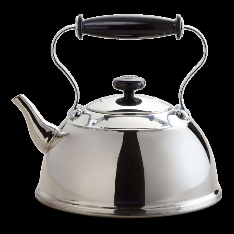 Чайник для плит