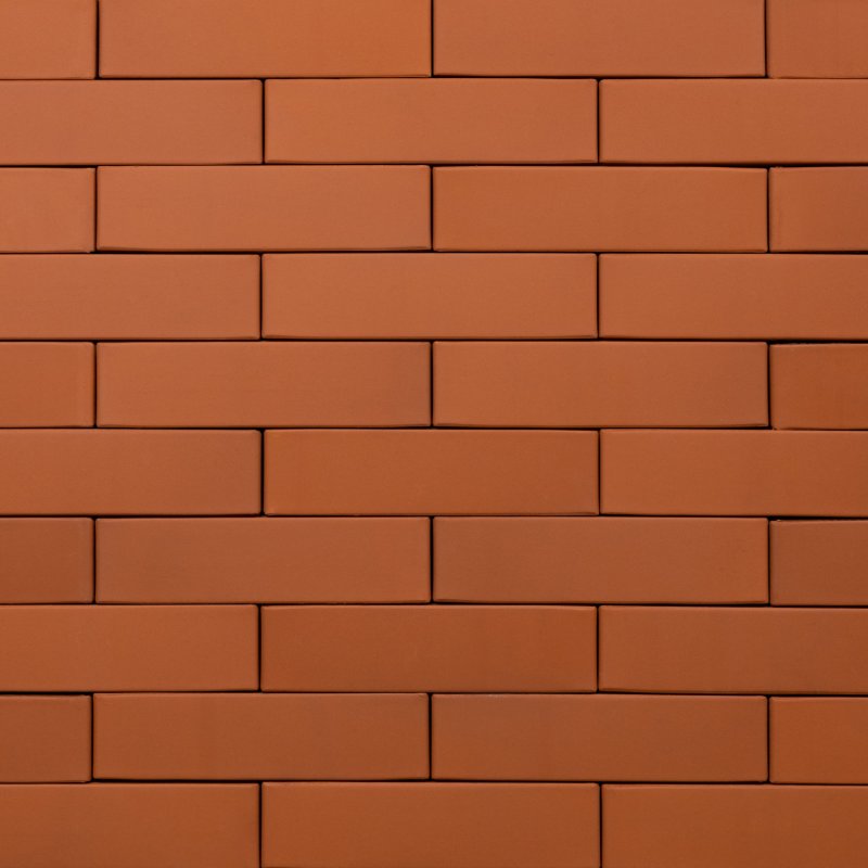 Ликолор персик