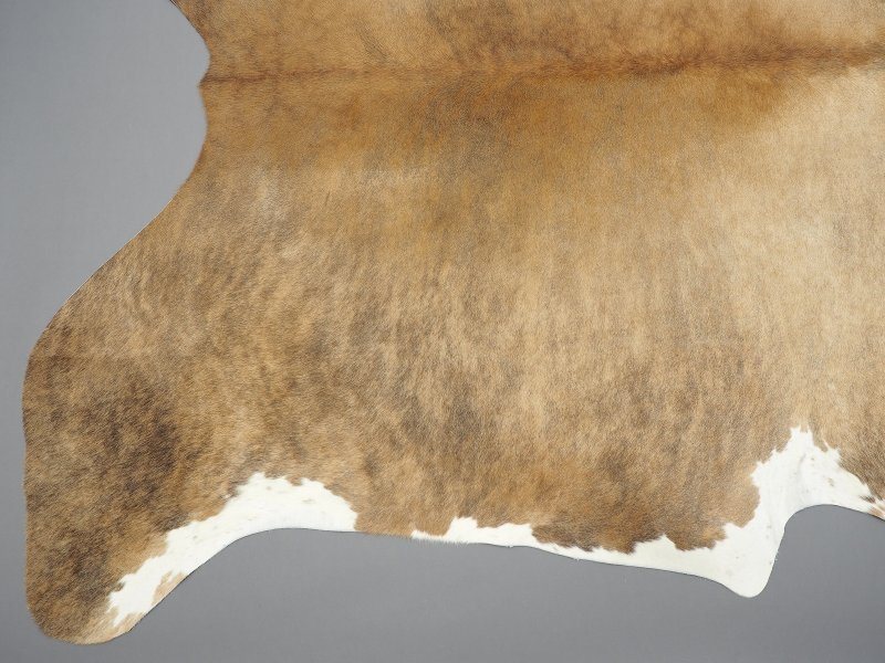 Шкура коровы текстура