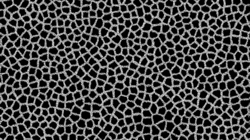 Шкура жирафа рисунок