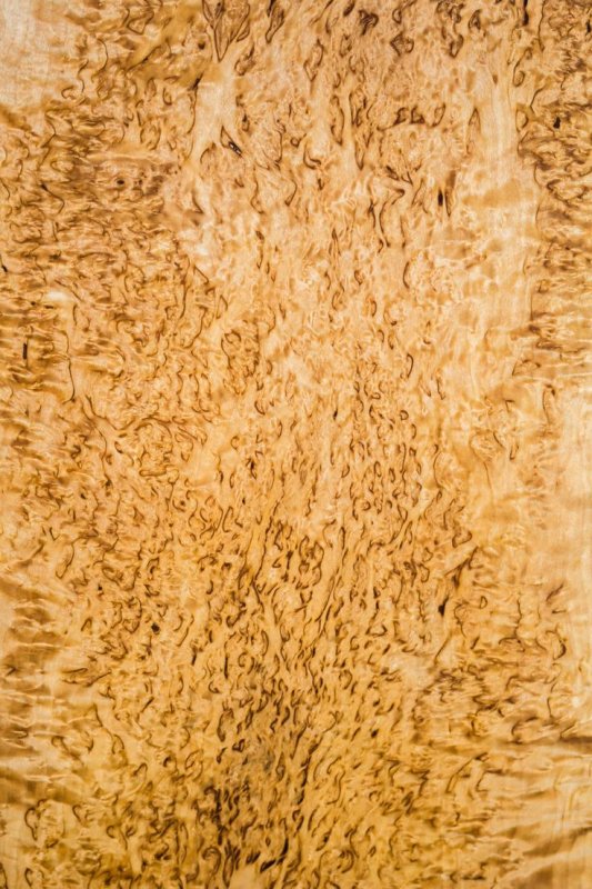 Шпон карельской березы текстура