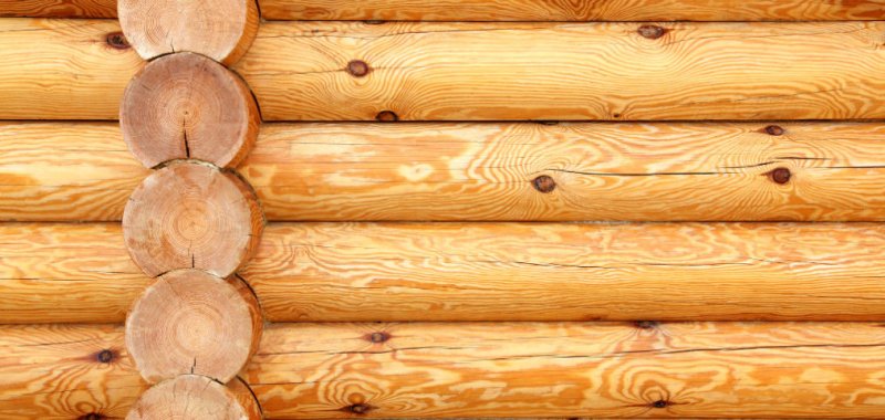 Текстура сруба дерева