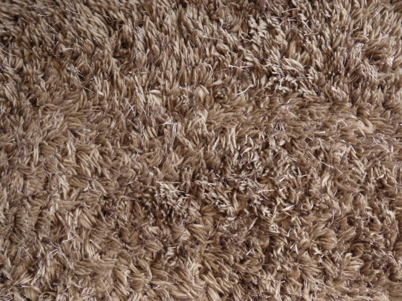 Ковролин ворсистый