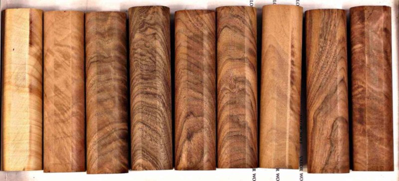 Граб текстура древесины