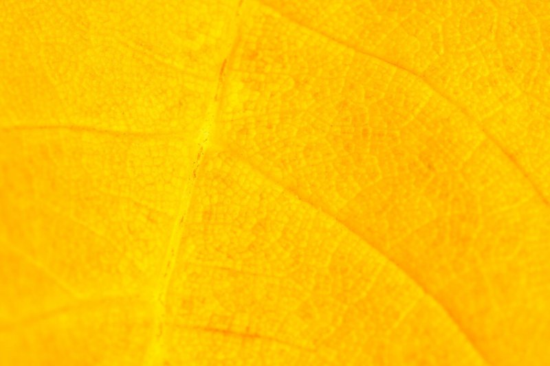 Желтая бумага