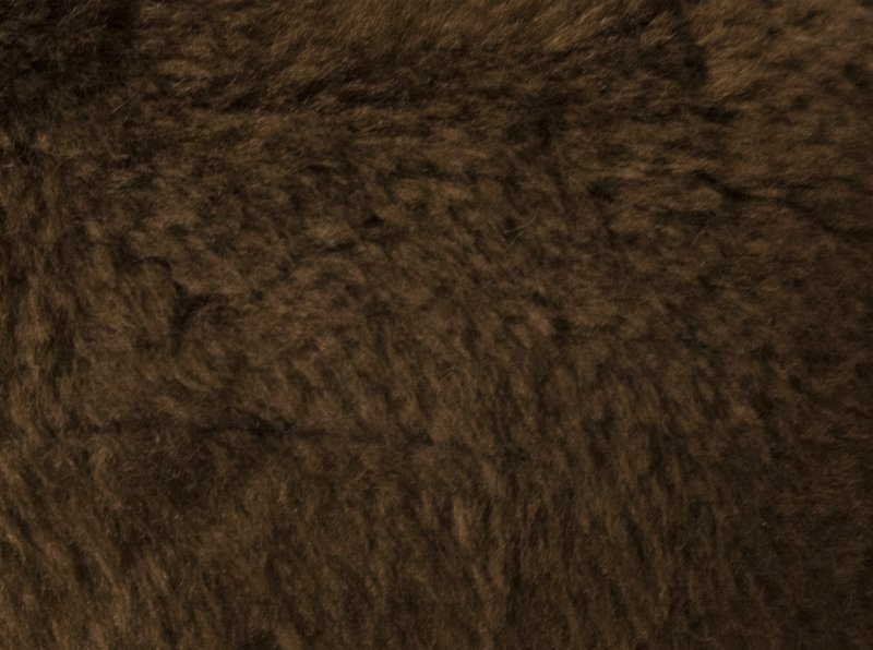 Текстура шерсти