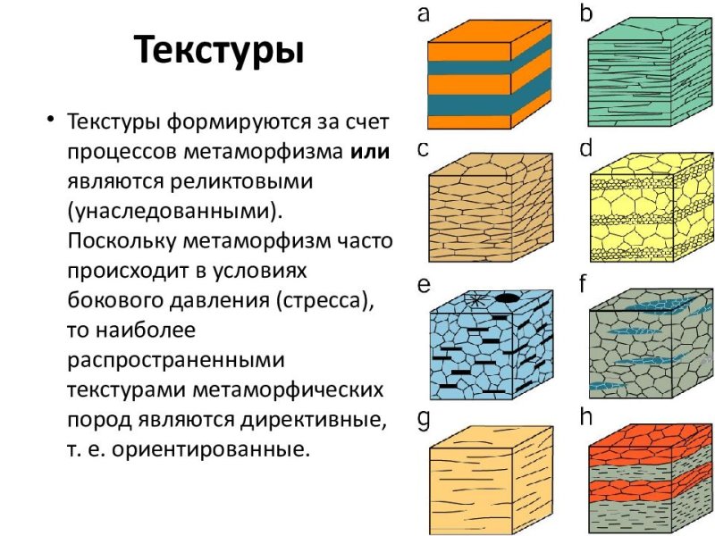 Лепидобластовая структура метаморфических пород