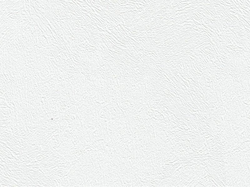 Панели Лопез век