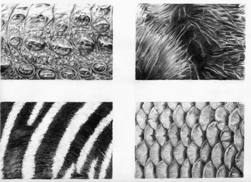 Шерсть животных