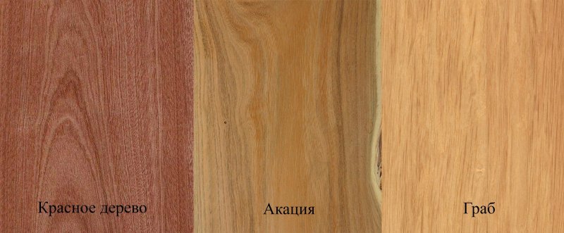 Дерево граб текстура древесины