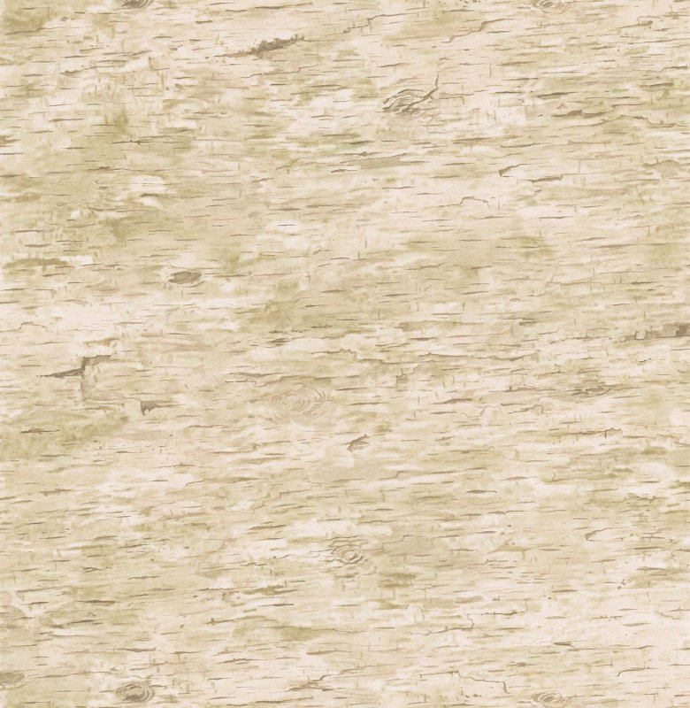 Береста фон