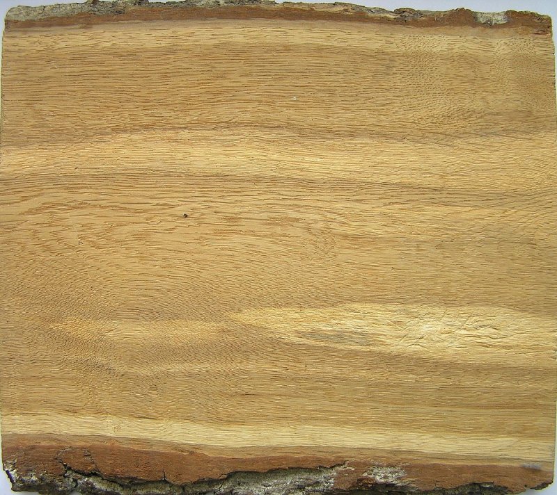 Продольный спил ясеня