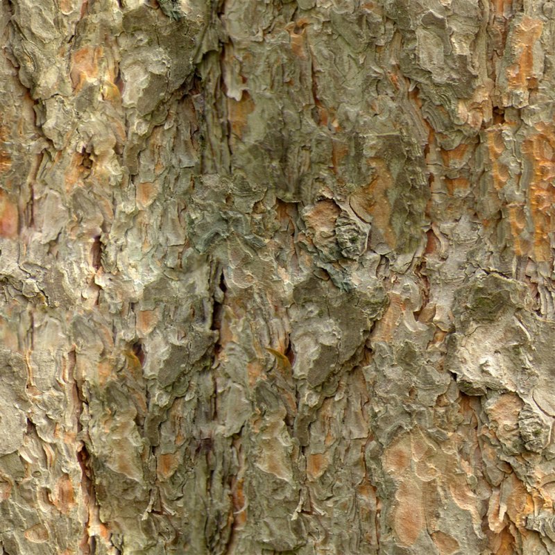 Текстура коры дерева бесшовная