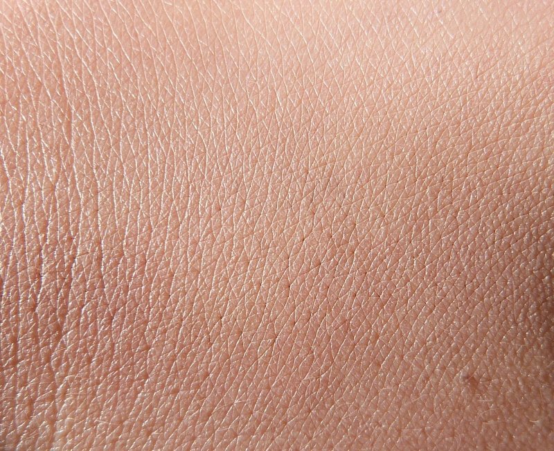 Фактура кожи
