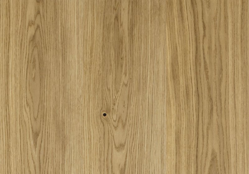 H3157 st12 дуб Винченца