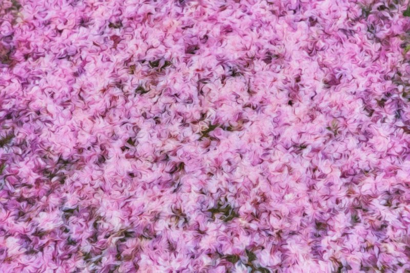 Текстура цветы