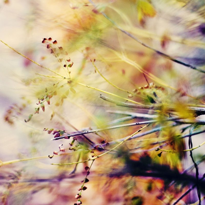 Природа в пастельных тонах