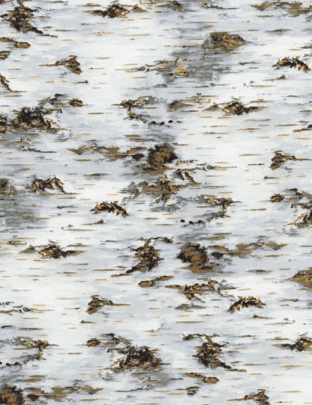 Береза фактура