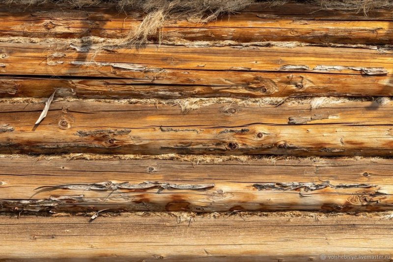 Бревенчатая стена