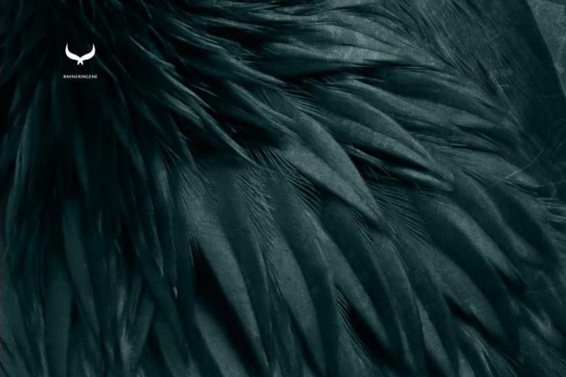 Черные перья