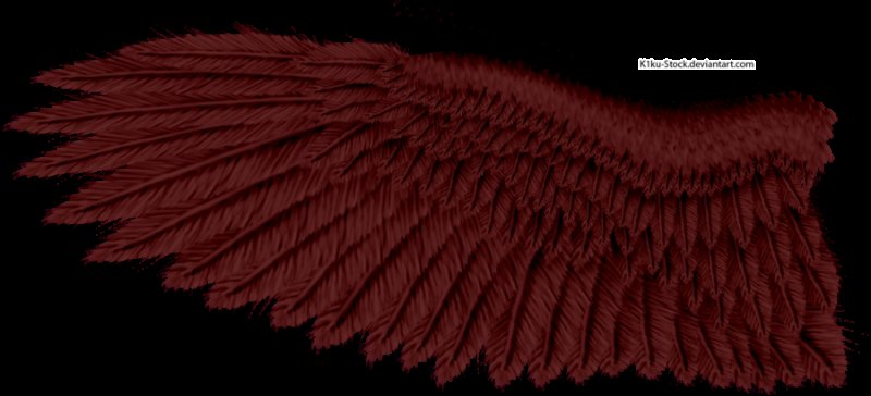 Вороньи перья