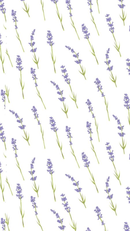 Лаванда шалфей Вереск