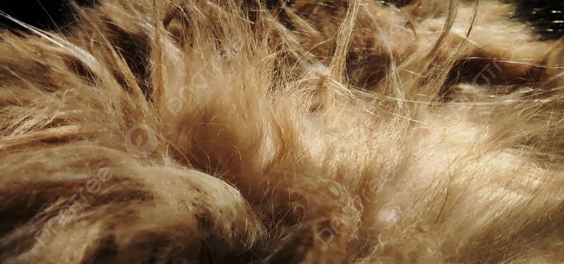 Оранжевый мех текстура