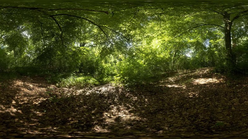 HDRI карты 3d Max лес