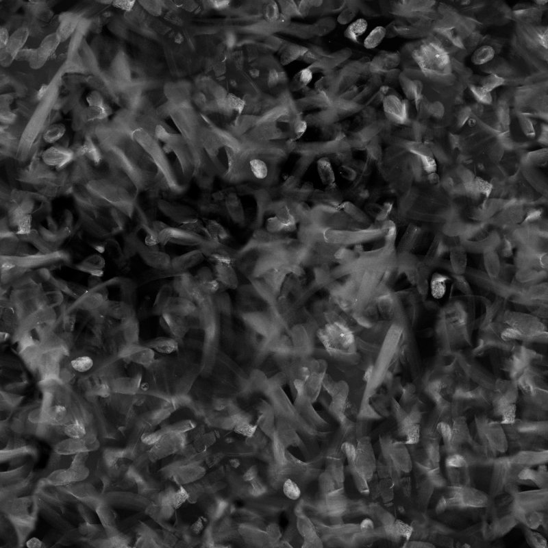 Dirt карта Отпечатки пальцев