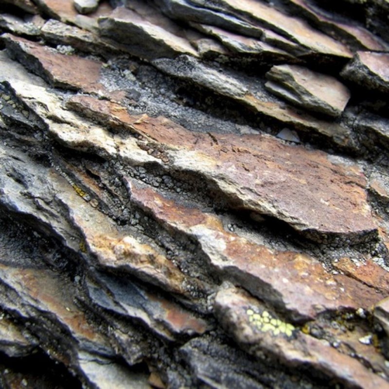 Глинистый сланец Горная порода