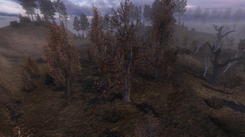 Новая трава для сталкер