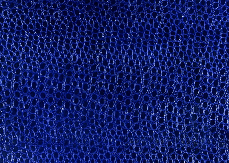 Текстура кожи