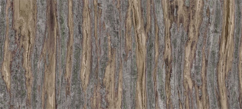 Кипарис текстура