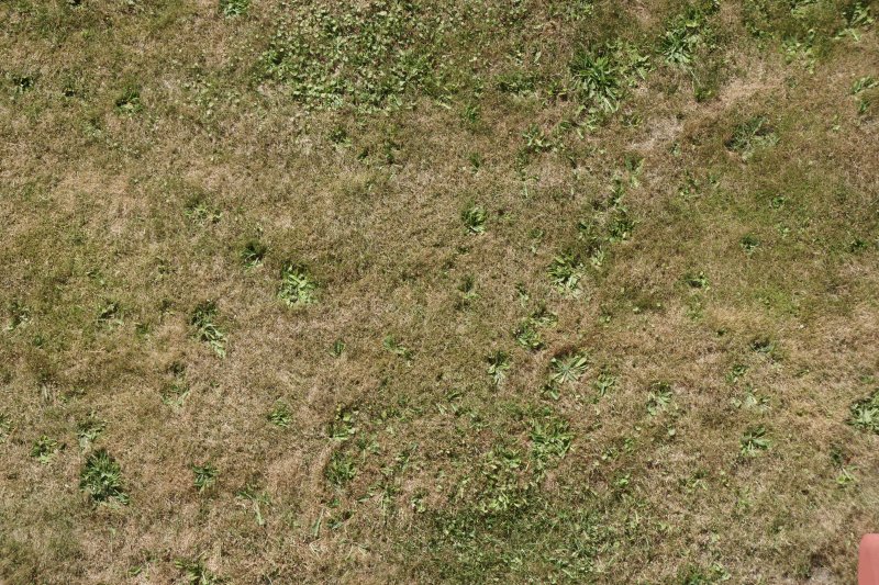 Текстура земли