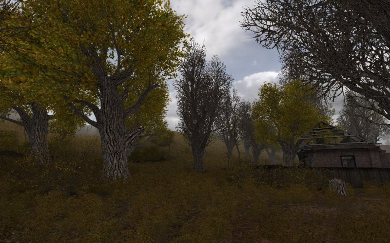 Аномальная роща Зов Припяти